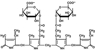 Формула строение Билирубин-диглюкуронид