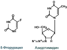 строение 5=фторурацила и азидотимидина